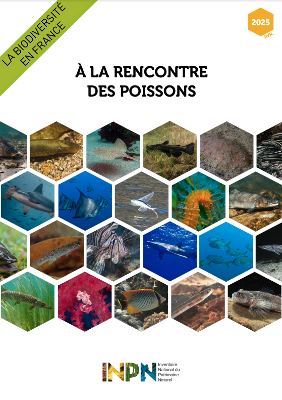 Livrets de l'INPN : Découvrez les arachnides et les poissons français